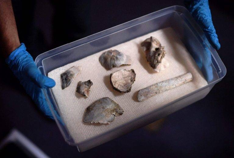 Recuperan fragmentos del fósil ‘Luzia’ en el museo de Rí­o de Janeiro