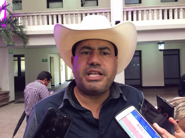 La mayorí­a de alcaldes tamaulipecos apoya a Marko: Alvarado