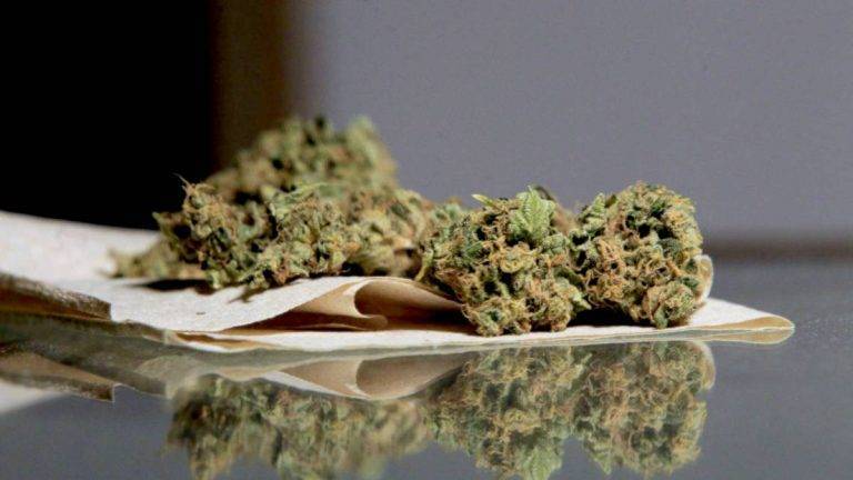 Polemizan diputados por tema de legalización de la marihuana