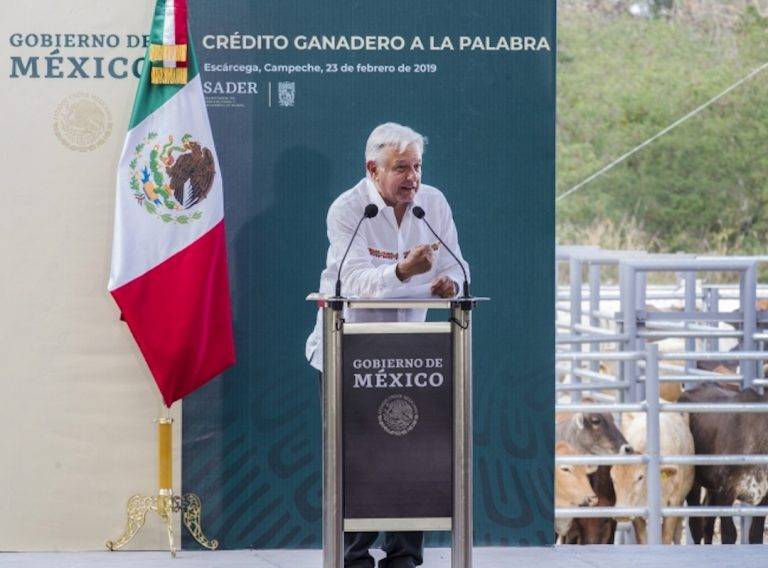 Licitación para Tren Maya saldrí­a el mes próximo, prevé López Obrador