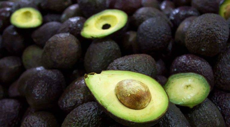 Sacan del mercado aguacates en California por listeria