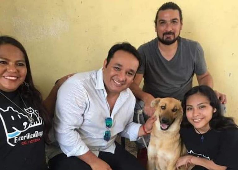 Animalistas promueven campaña de esterilización de mascotas y animales callejeros