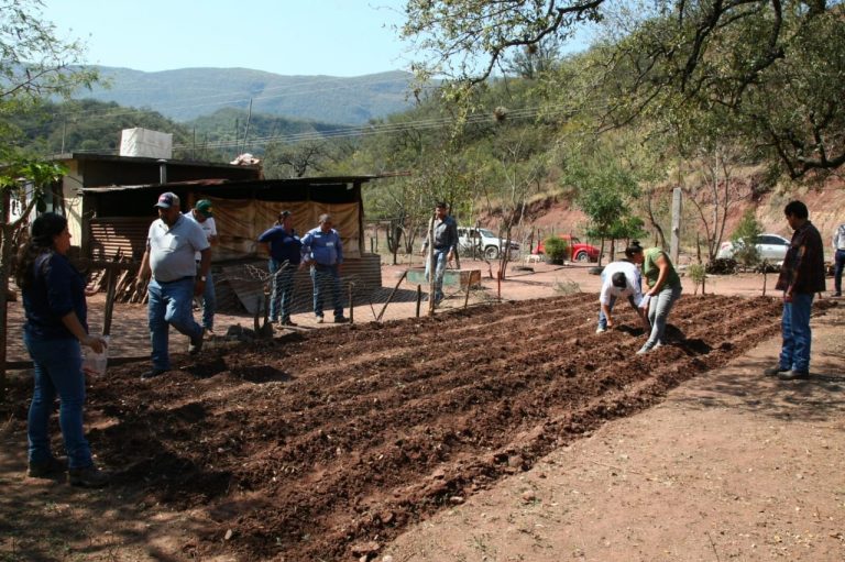 Promueve Ayuntamiento huertos familiares en ejidos de Victoria