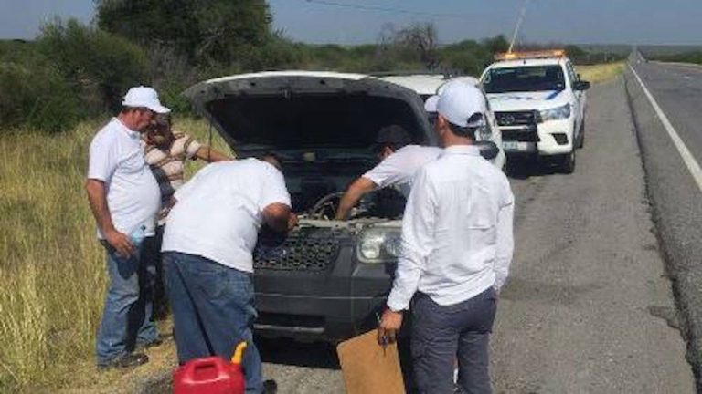 íngeles Azules brindan mil asistencias durante primera semana