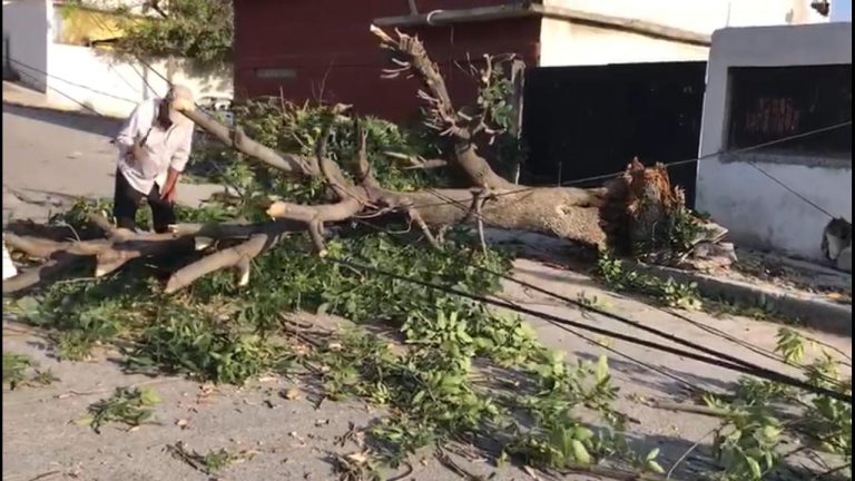 Ráfagas de vientos provocan destrozos en Victoria