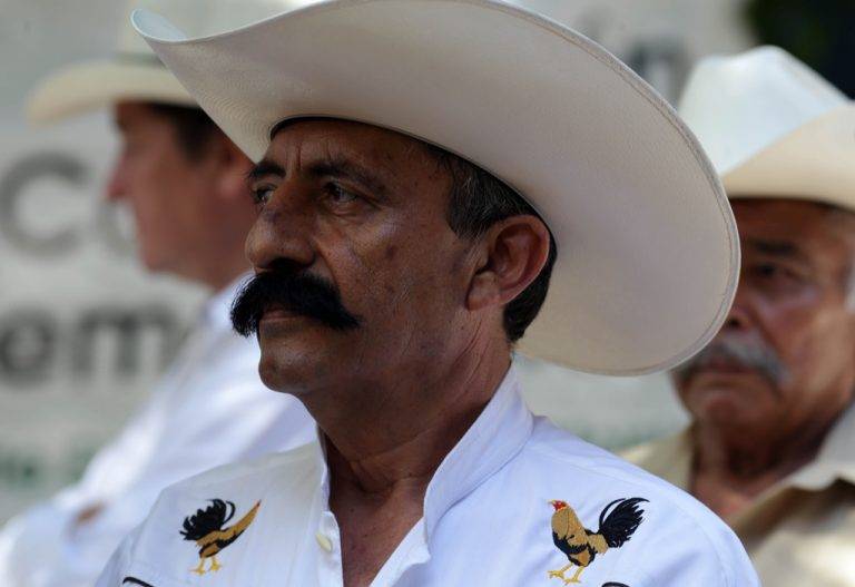 Jorge Zapata, nieto del â€œCaudillo del Surâ€: â€œ, me siento decepcionado de la 4Tâ€