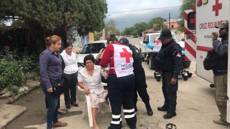 Pitbull ataca a mujer en el 25 y 26 Guerrero