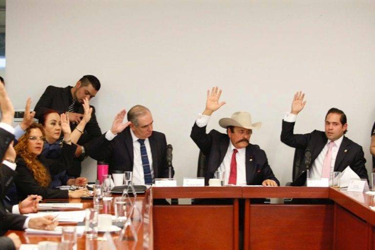 Comisión del Senado declara elegibles las ternas para CRE