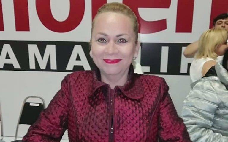 Entra Nora de los Reyes a la contienda en el Distrito XIV por MORENA