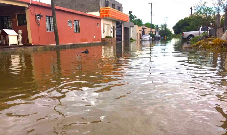 Deja tormenta 65 colonias inundadas y 80 personas en albergues: Maki