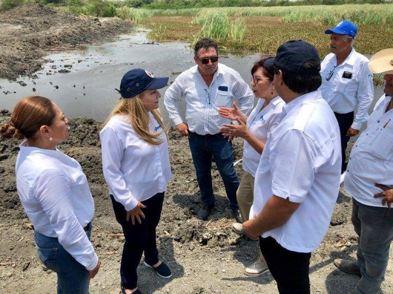 Efectúa Gobierno de Altamira programa de limpieza y mejoramiento urbano