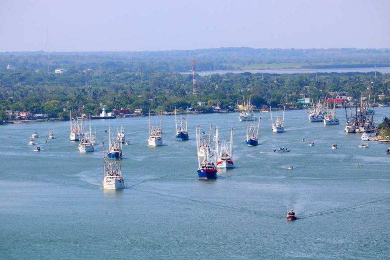 Encabeza Oseguera procesión náutica de la Virgen del Carmen