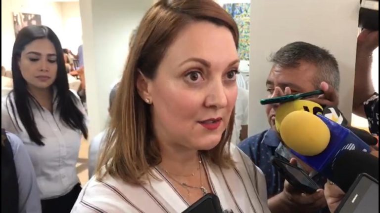 Garantizado apoyo y protección para ví­ctimas de violencia: Mariana Gómez