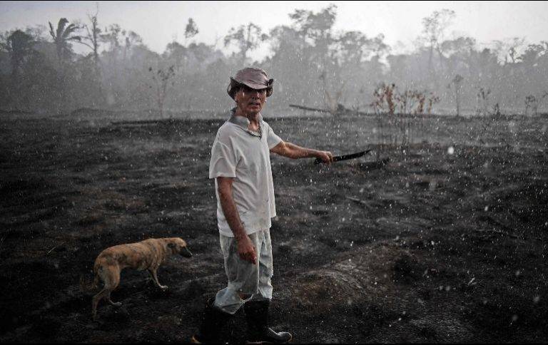 Brasil prohí­be por 60 dí­as las quemas para siembra en la Amazoní­a