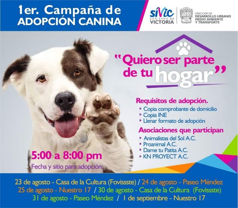 Fomenta Ayuntamiento adopción Responsable de Animales