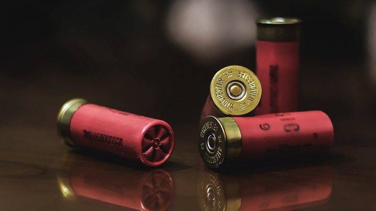 Diputado sugiere que mexicanos tengan un arma ante crisis de inseguridad