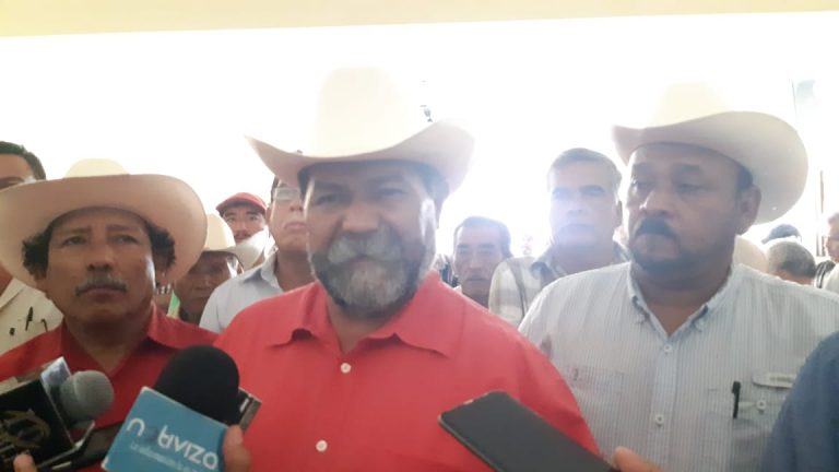 Piden citricultores fertilizante a Gobierno del Estado