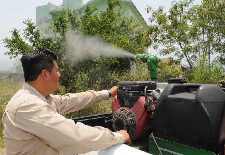 Intensifica Salud prevención contra dengue, zika y chikungunya