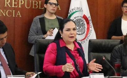 Confirma TEPJF legalidad en elección de Piedra en el Senado