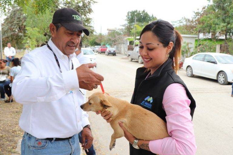 Abundan perros maltratados y abandonados