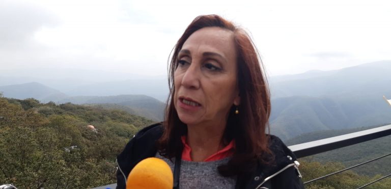 Insistirá regidora en creación  del Instituto Municipal de la Mujer