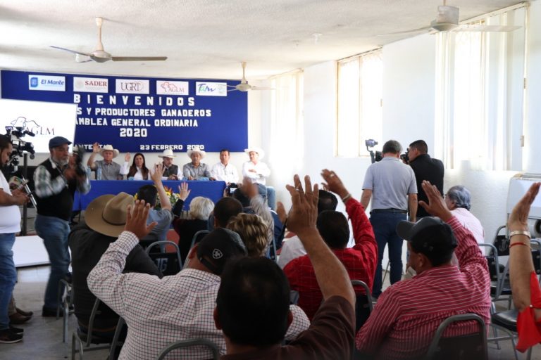 Depuración de socios en la Ganadera Local