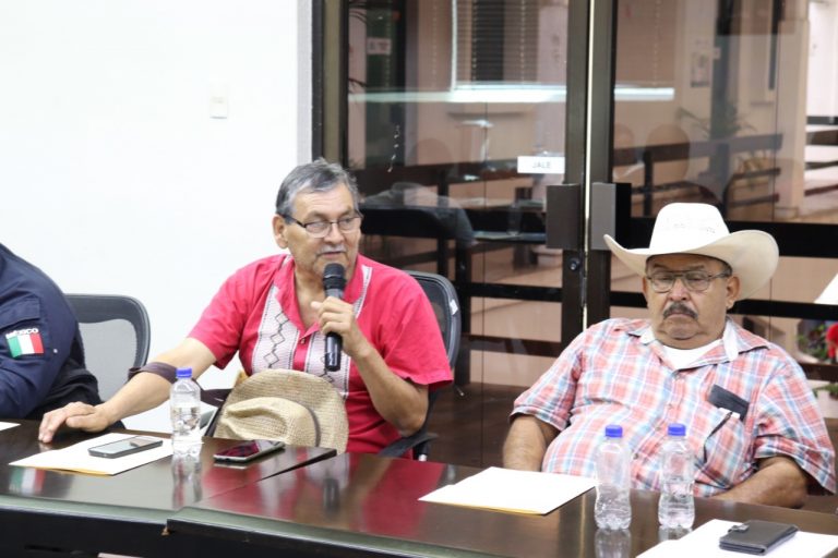 Productores lamentan haber sembrado algodón
