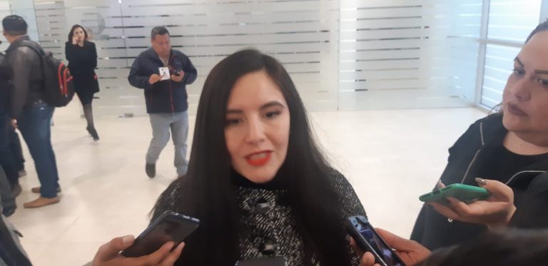 Casos de acoso sexual  al interior de planteles deben ser denunciados: Diputada