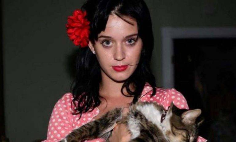 Katy Perry comparte noticia del fallecimiento de su mascota