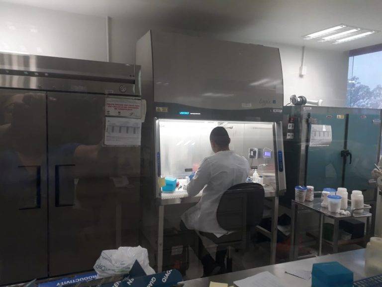 Confirma Tamaulipas 4 nuevos casos positivos a COVID-19, suman 56 en el estado