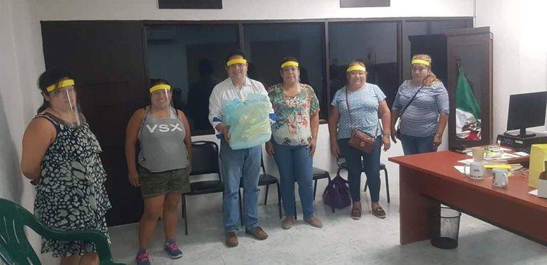 Recorren Priistas comités seccionales en apoyo ciudadano: Silva