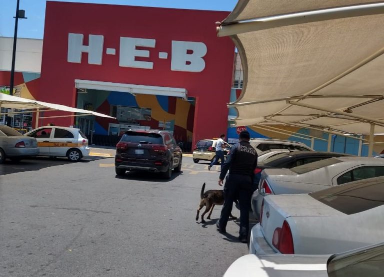 Policí­a Estatal instala filtros en carreteras y binomios caninos recorren centros comerciales en Victoria