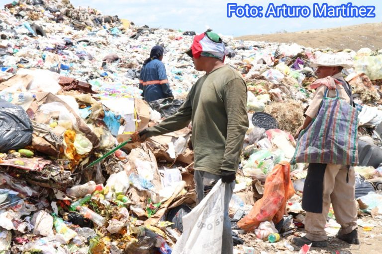 Pepenadores â€œsin miedoâ€ al COVID-19
