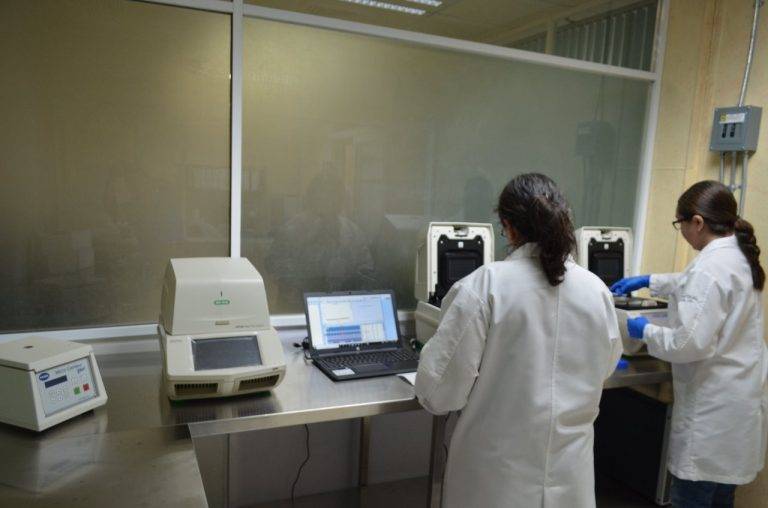 Pandemia de COVID-19 suma 115 nuevos casos en Tamaulipas.
