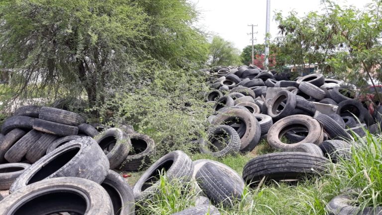 Intensifica Tamaulipas acciones simultáneas contra COVID-19, dengue y sarampión
