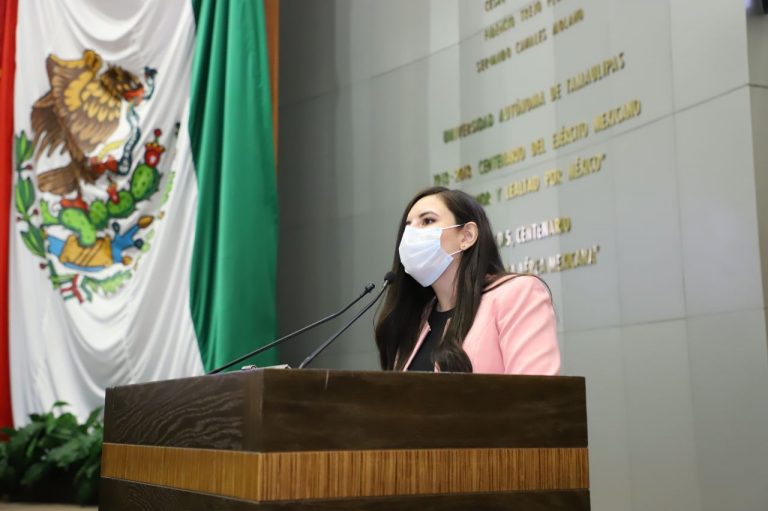 Busca Diputada transparencia de recursos federales para Tamaulipas