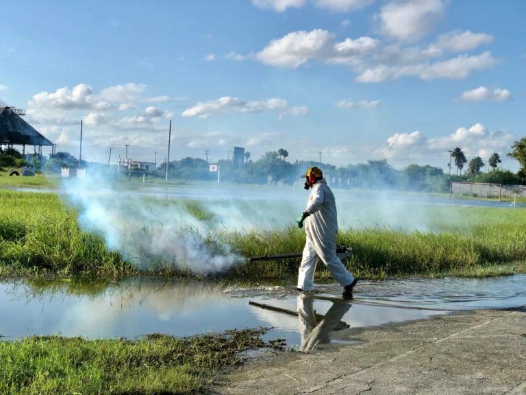 Continúa Gobierno de Matamoros con acciones de fumigación para proteger salud de ciudadanos