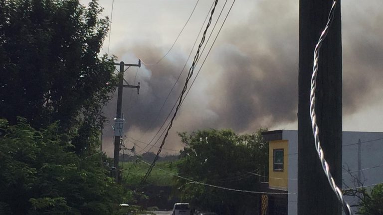 Se registra incendio de zacatal en las márgenes de la Laguna â€œLa Escondidaâ€