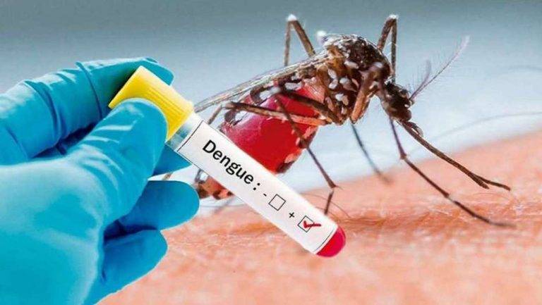 Ahora â€œpreocupaâ€ a Salud aumento del Dengue en Victoria