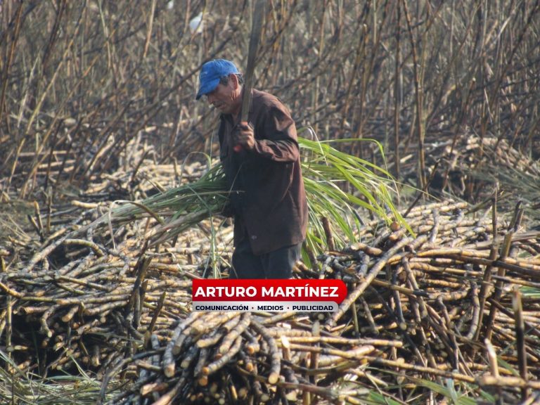 Ingenio Xico no reabrirá: Grupo Sáenz