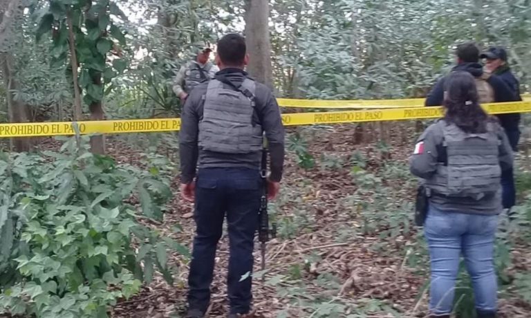 Hay más cuerpos porque hay más búsquedas: AMLO