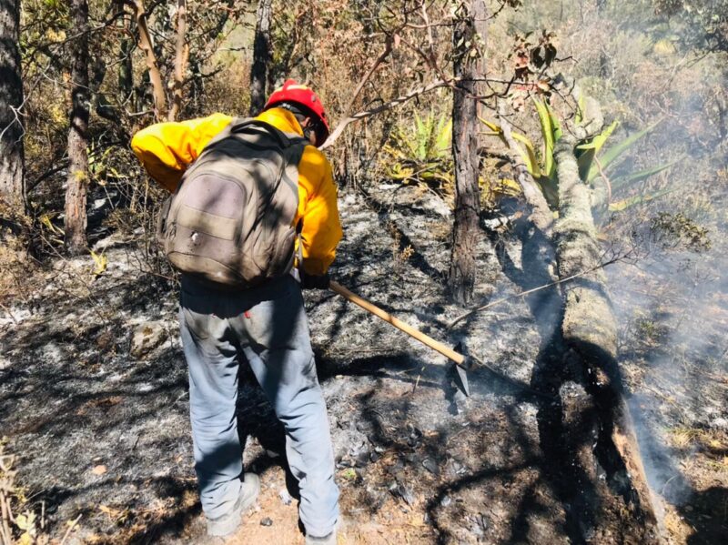 Protección Civil Tamaulipas, CONAFOR  y habitantes del sector unen esfuerzos para contención de incendio forestal en Miquihuana