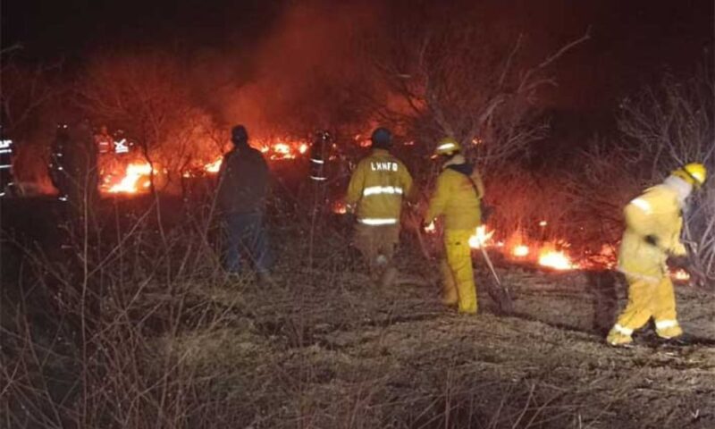 Un incendio forestal en Sonora ha consumido más de mil 600 hectáreas