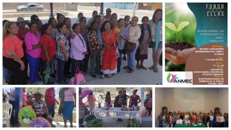 Avanzan en Tamaulipas proyectos que promueve ANMEC ante Fondo Ellas