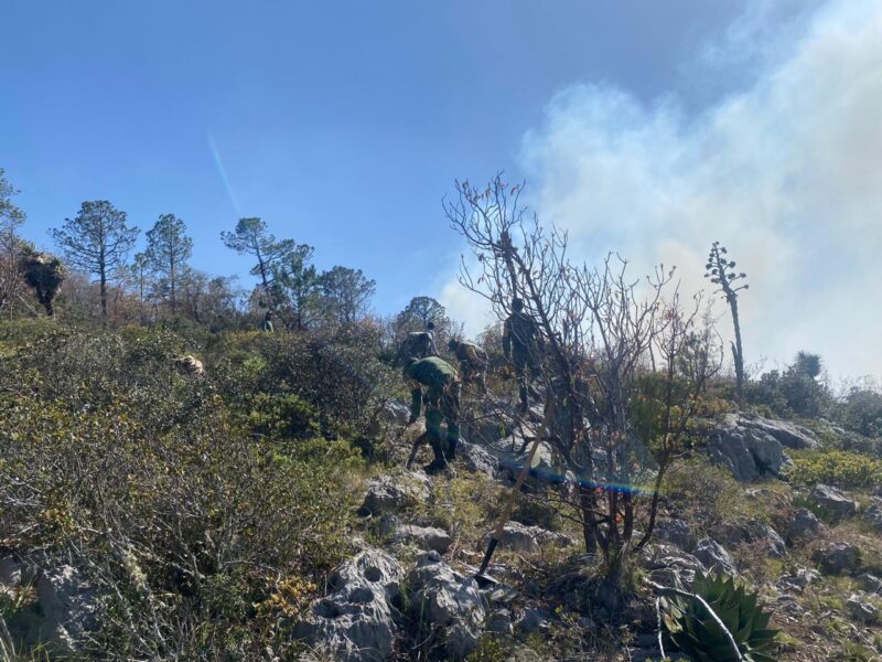 Participa SEDENA en el combate de incendio Forestal en Miquihuana