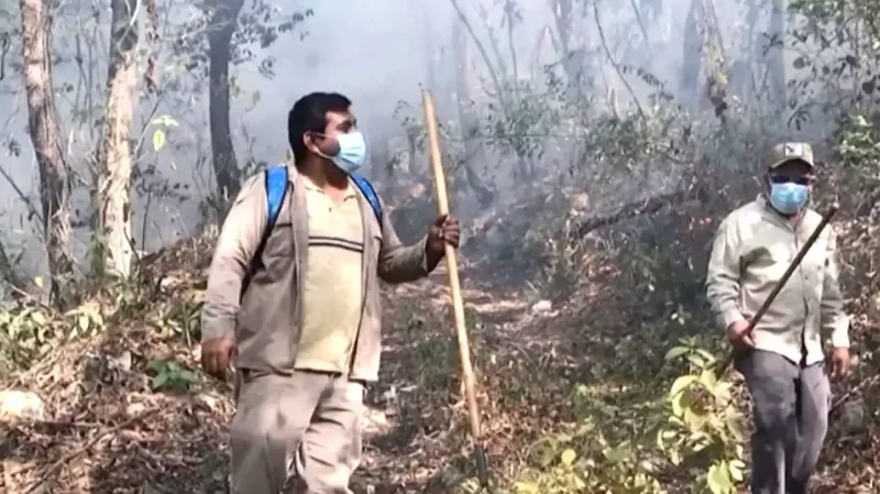 Controlado en un 60% incendio forestal en el municipio de Hidalgo