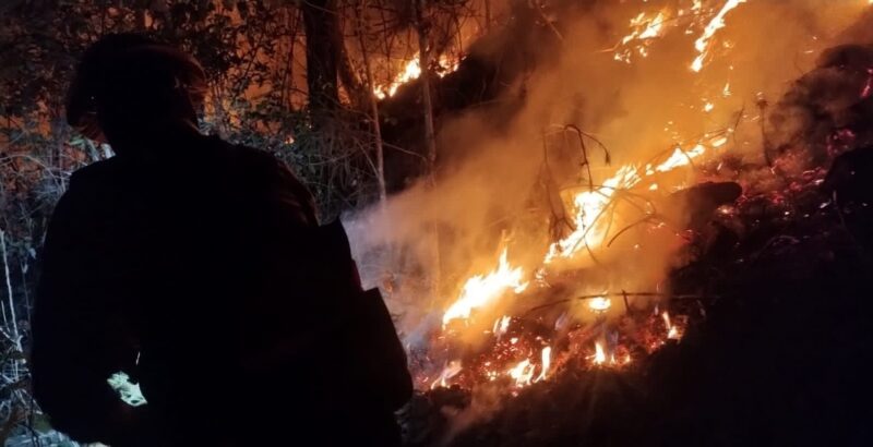 Unen esfuerzos autoridades y ciudadanos para combatir incendio forestal en Hidalgo, Tamaulipas