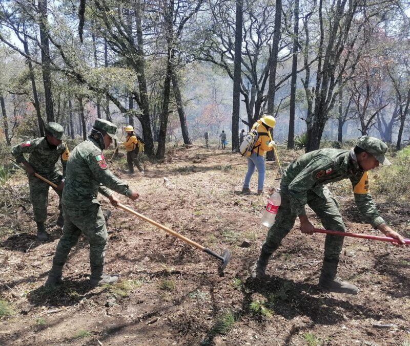 Ejército y Guardia Nacional colaboran para controlar incendio en Mante