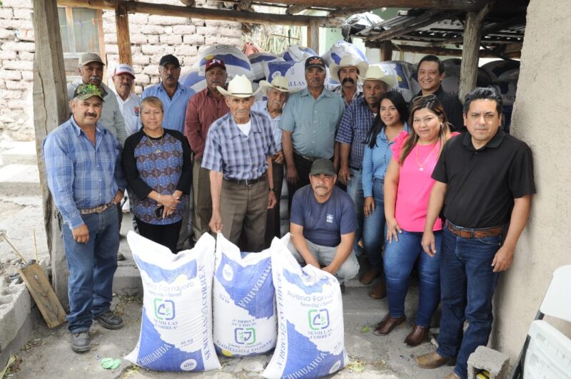 Productores del Altiplano reciben apoyo de semilla de avena forrajera