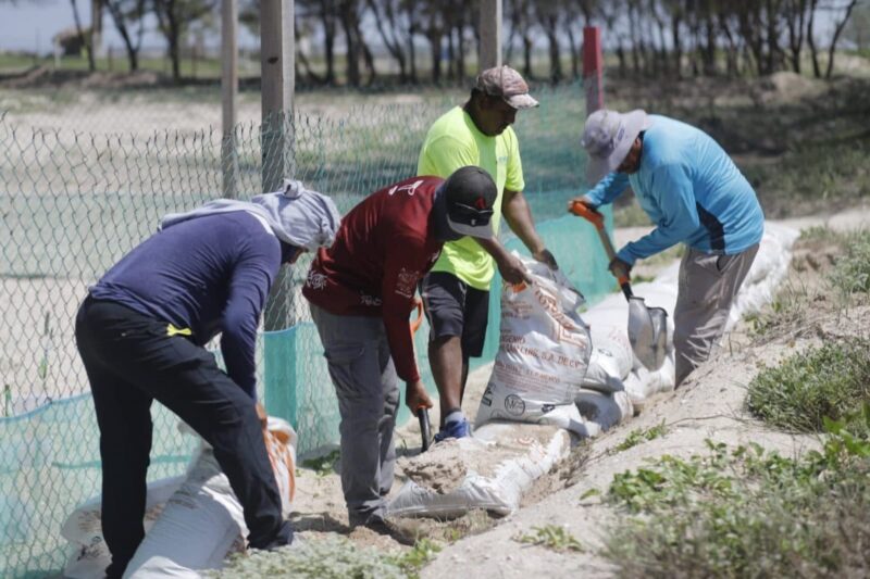 Refuerza Comisión de Parques protección en campos tortugueros de Tamaulipas